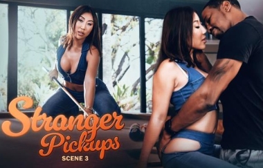 Nicole Doshi - The Cat Call